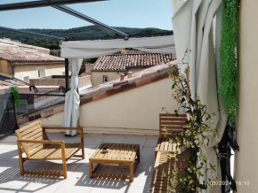 Un nid sur les toits avec terrasse